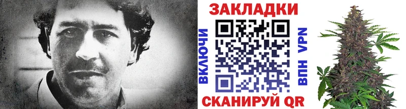Купить наркотики Калач-на-Дону ГАШ  MEGA ссылки  МЕФ  Alpha-PVP 
