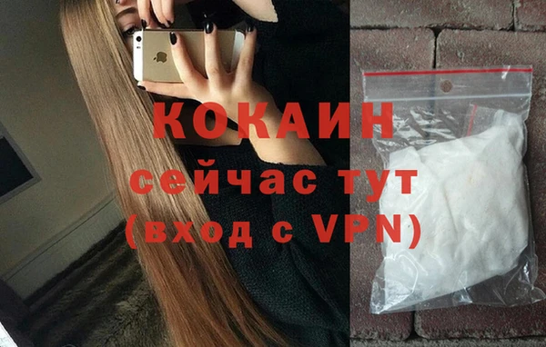 стаф Липки