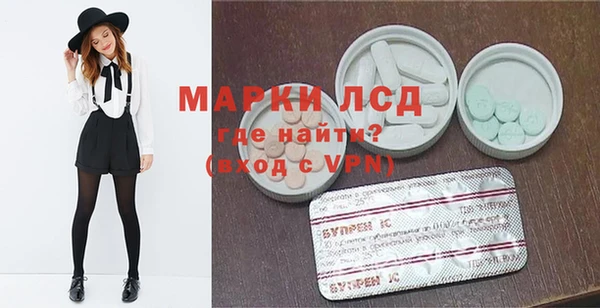 стаф Липки