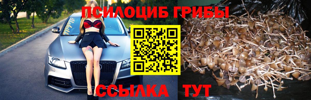 Псилоцибиновые грибы Magic Shrooms Калач-на-Дону